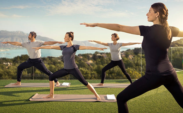 Senolytics and the Science of Living Longer: Fisetin, Quercetin, and Spermidine in Focus